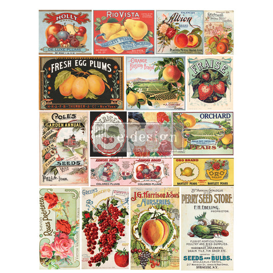 Vintage Seed - Rub-On Furniture Decal Transfer by Redesign with Prima!