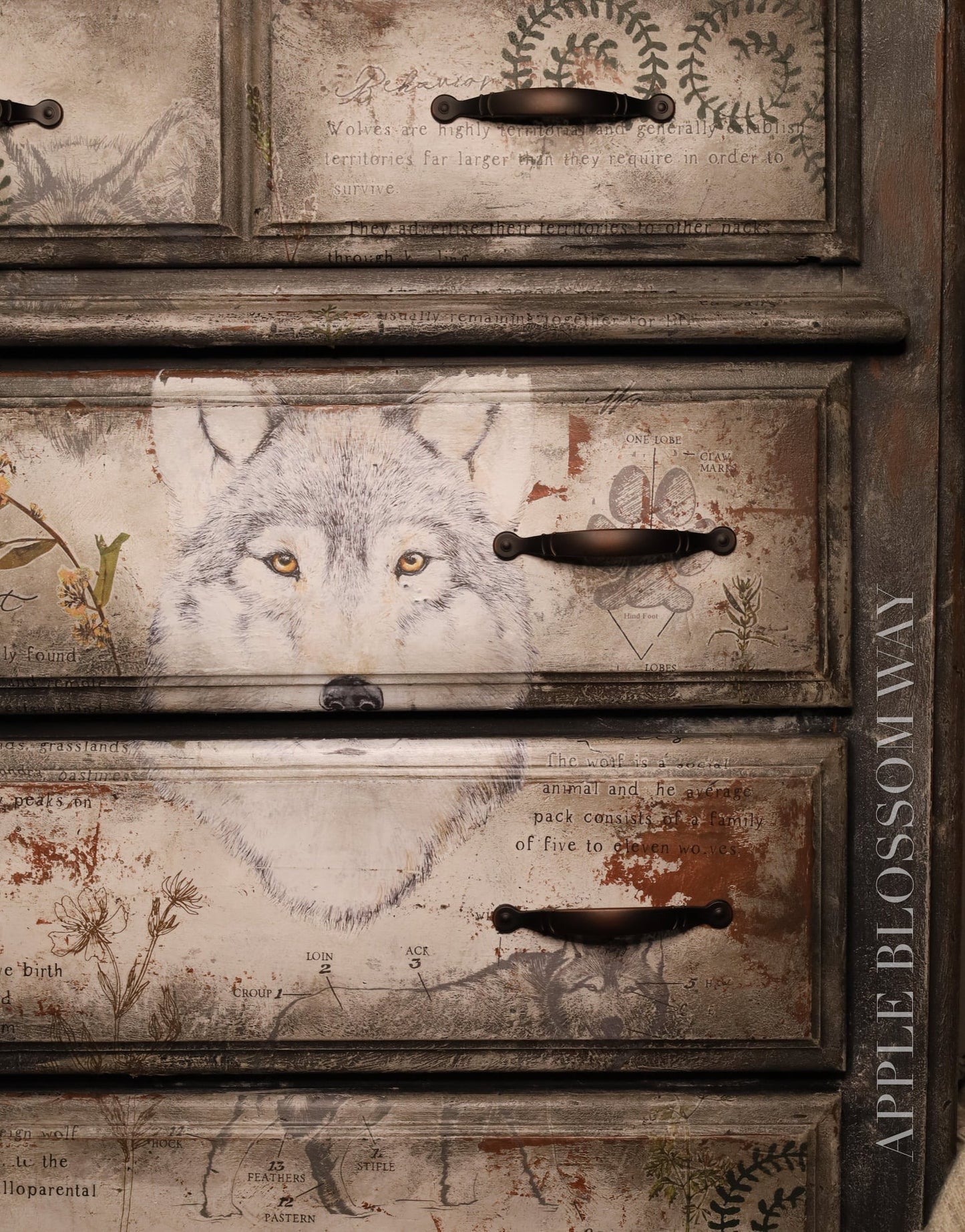 Gray Wolf transfer - Rub-On Furniture Decal transfer by Redesign with Prima!