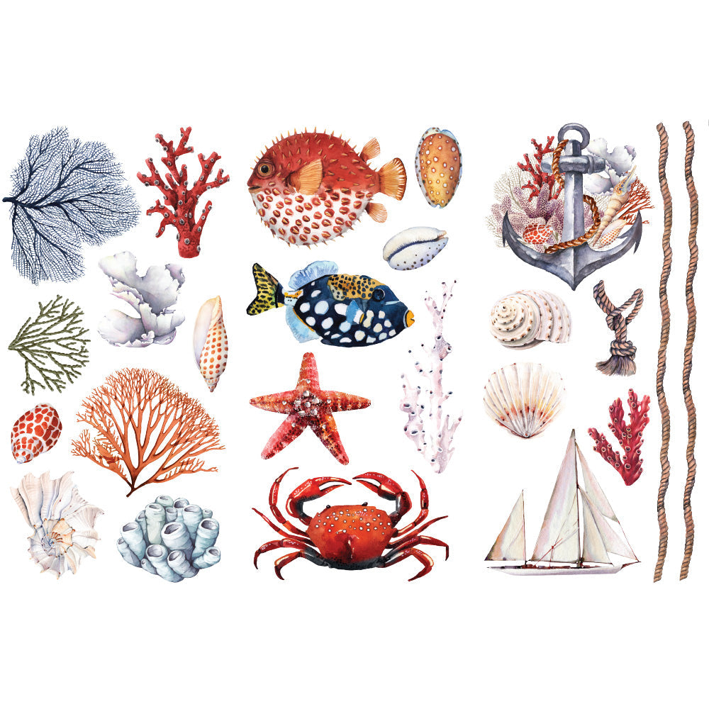 Amazing Sea Life - Rub-On Furniture Decal Mini-Transfer by Redesign with Prima!