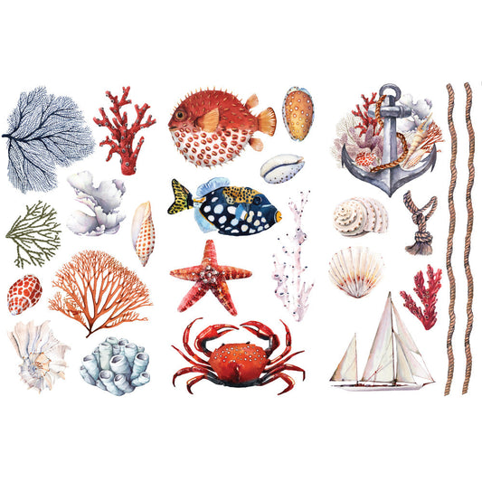 Amazing Sea Life - Rub-On Furniture Decal Mini-Transfer by Redesign with Prima!