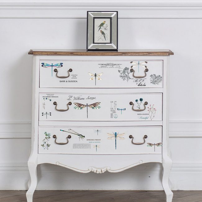 Spring Dragonfly – Rub-On Furniture Decal Mini-Transfer by Redesign with Prima!