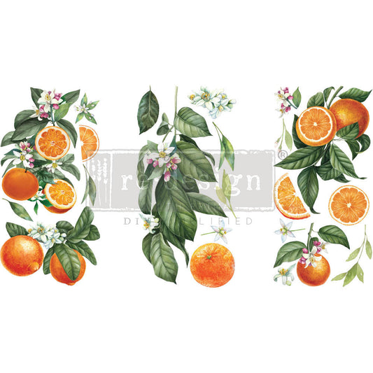 Citrus Slice - Rub-On Decor Mini-Transfer by Redesign with Prima!