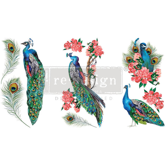Royal Peacock - Rub-On Furniture Decal Mini-Transfer by Redesign with Prima!