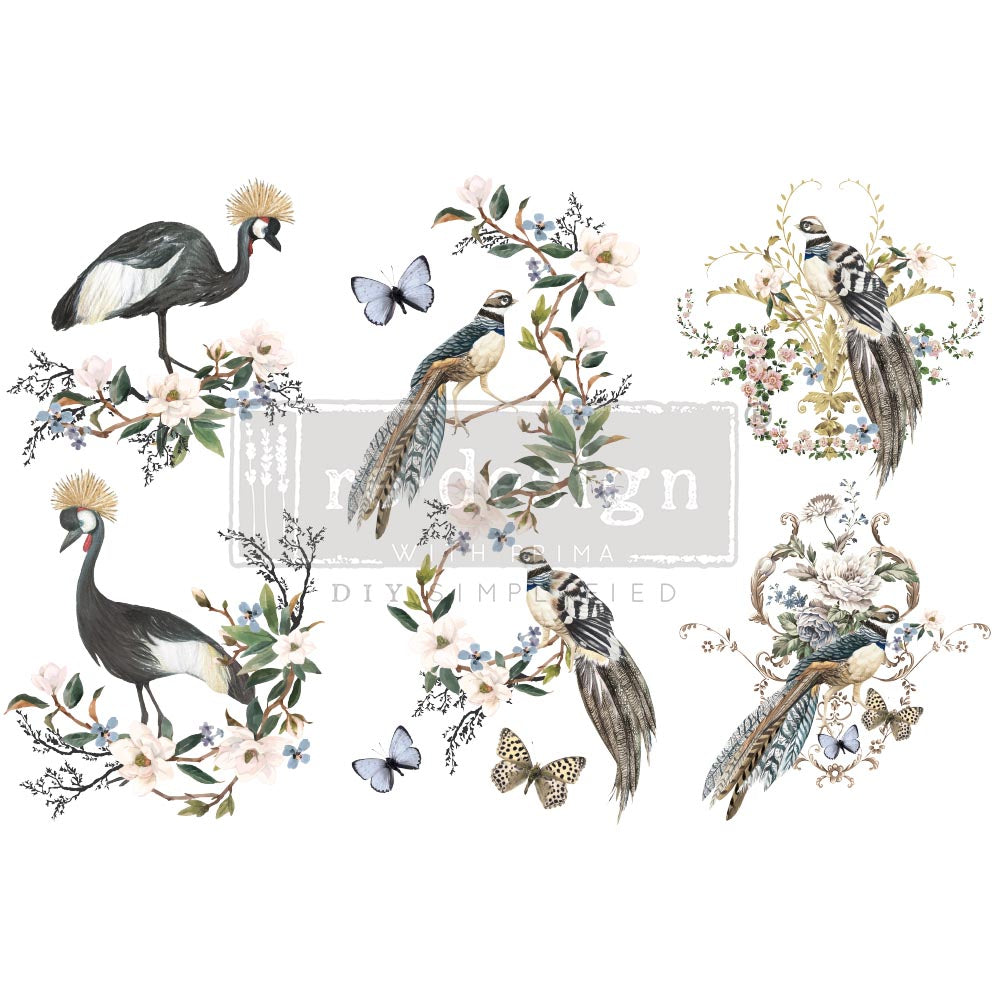 Rare Birds - Rub-On Furniture Decal Mini-Transfer by Redesign with Prima!