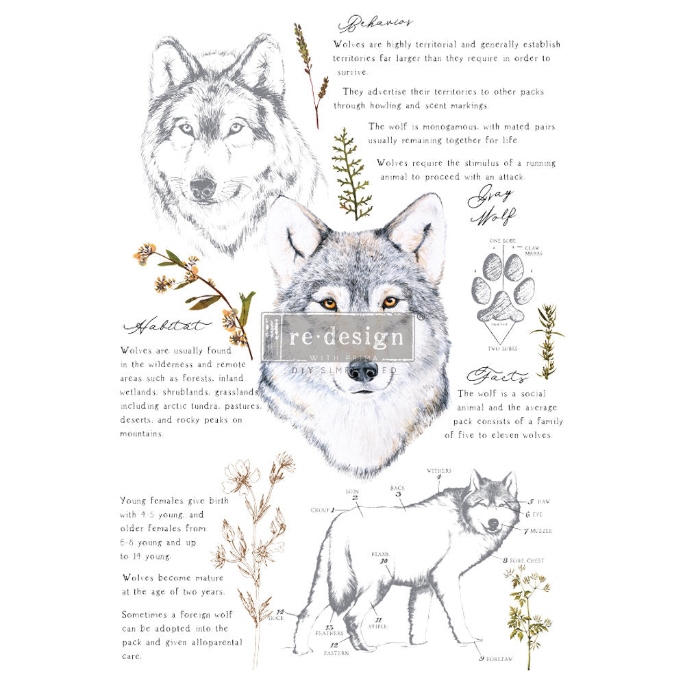 Gray Wolf transfer - Rub-On Furniture Decal transfer by Redesign with Prima!