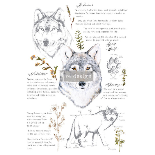 Gray Wolf transfer - Rub-On Furniture Decal transfer by Redesign with Prima!