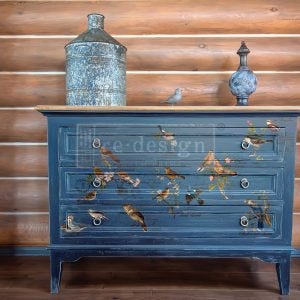Postal Birds - Rub-On Furniture Decal Transfer by ReDesign With Prima!