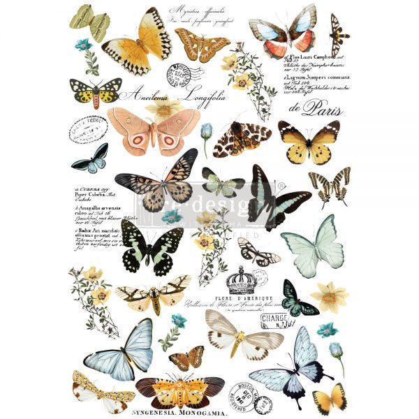 Butterfly Dance - Rub-On Furniture Decal Transfer ReDesign by Prima!