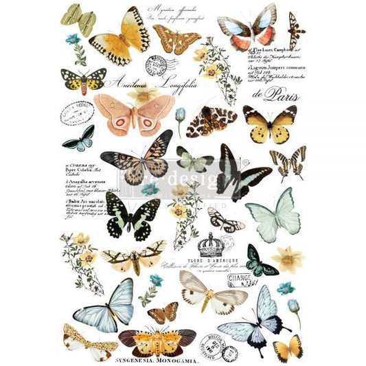 Butterfly Dance - Rub-On Furniture Decal Transfer ReDesign by Prima!