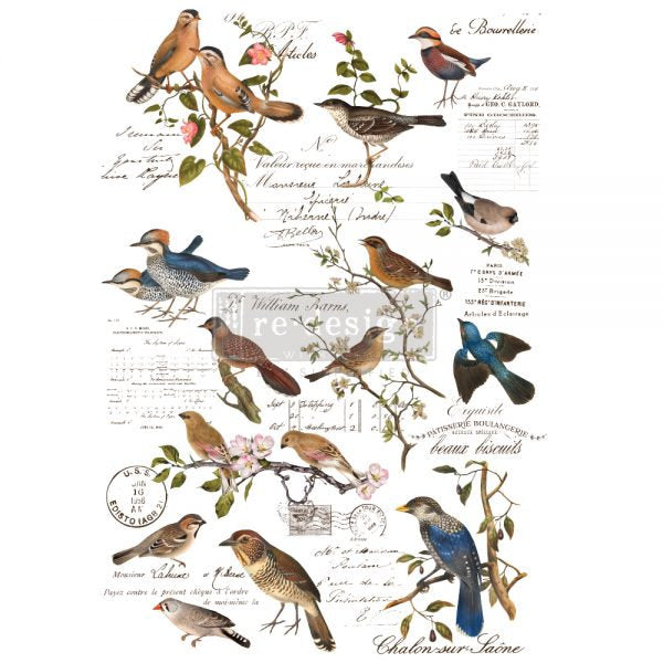 Postal Birds - Rub-On Furniture Decal Transfer by ReDesign With Prima!