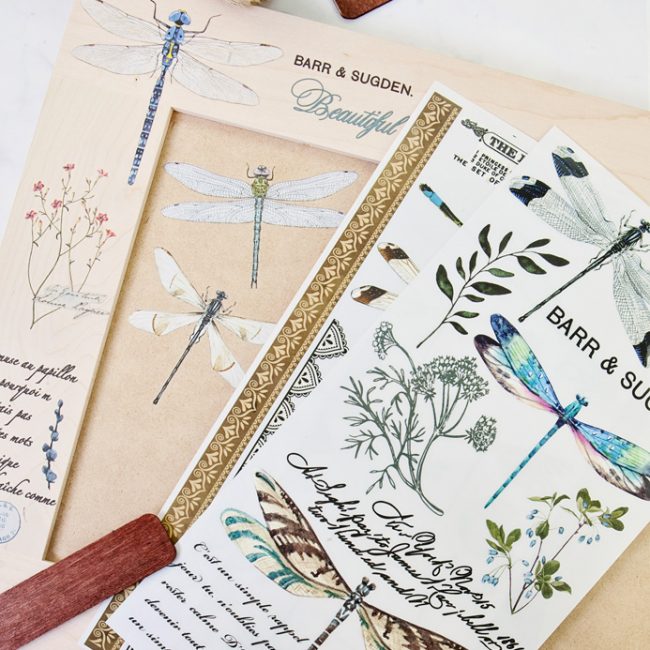 Spring Dragonfly – Rub-On Furniture Decal Mini-Transfer by Redesign with Prima!
