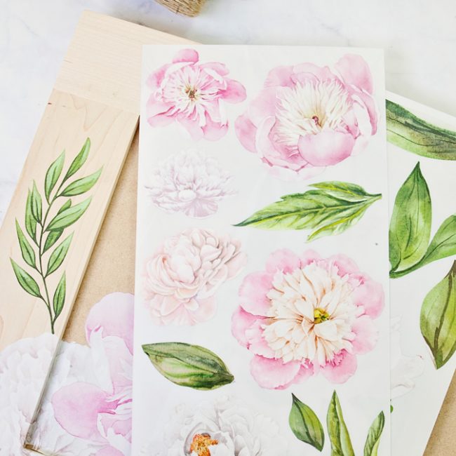 Morning Peonies - Rub-On Furniture Decal Mini-Transfer by Redesign with Prima!