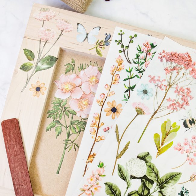 Botanical Paradise – Rub-On Furniture Decal Mini-Transfer by Redesign with Prima!