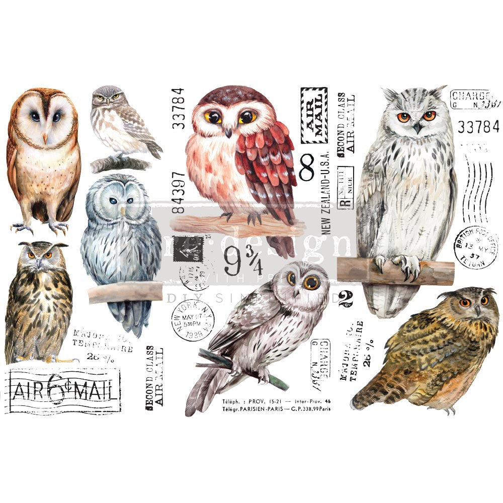 Owl - Rub-On Furniture Decal Mini-Transfer by Redesign with Prima!